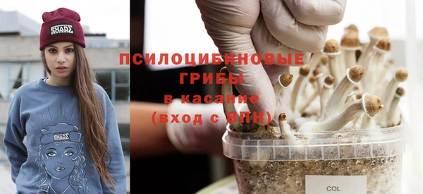 кокс Алексеевка